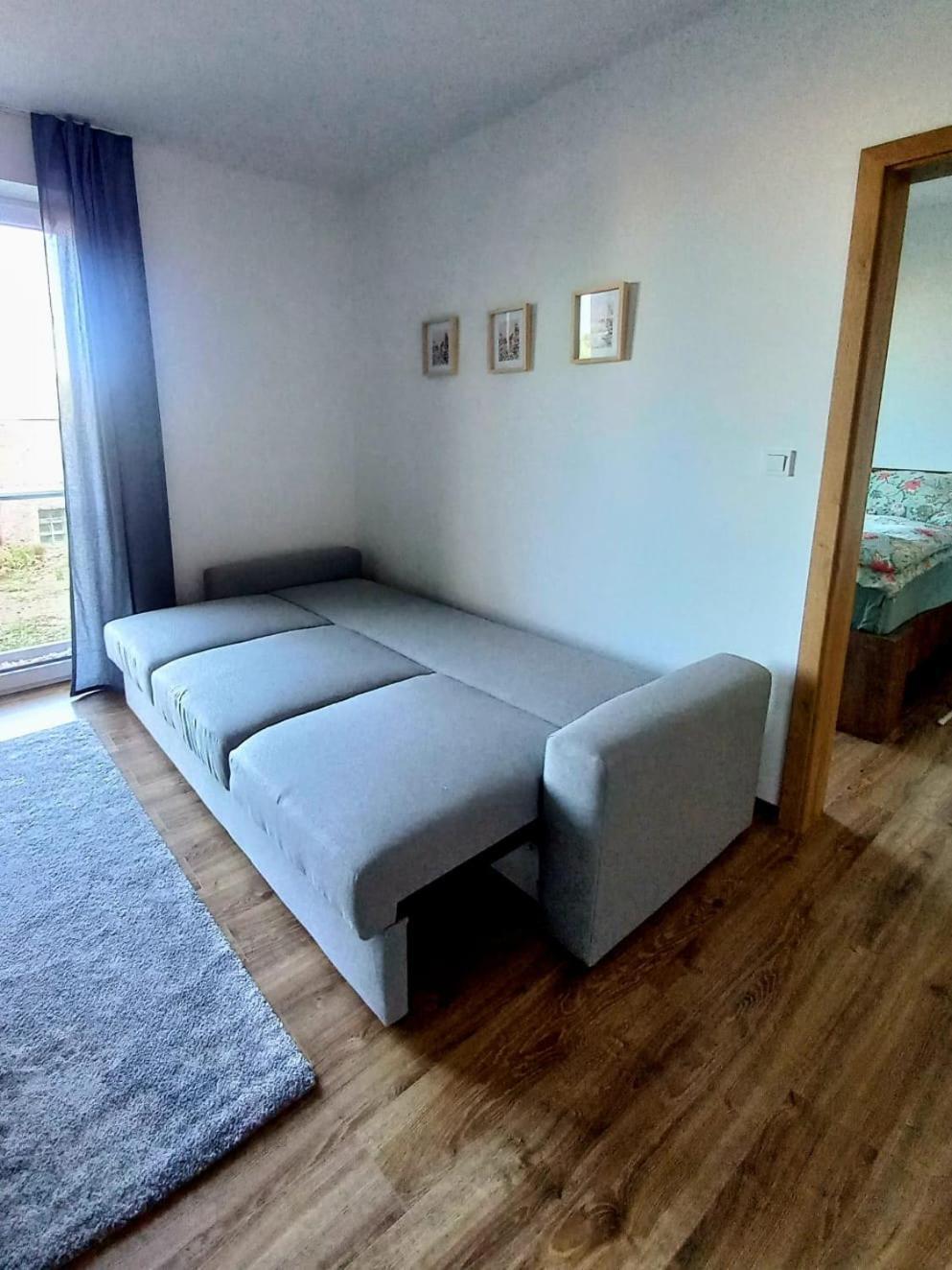 Apartman Violetta Nove Mesto nad Metuji Exterior foto